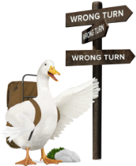 Aflac 404